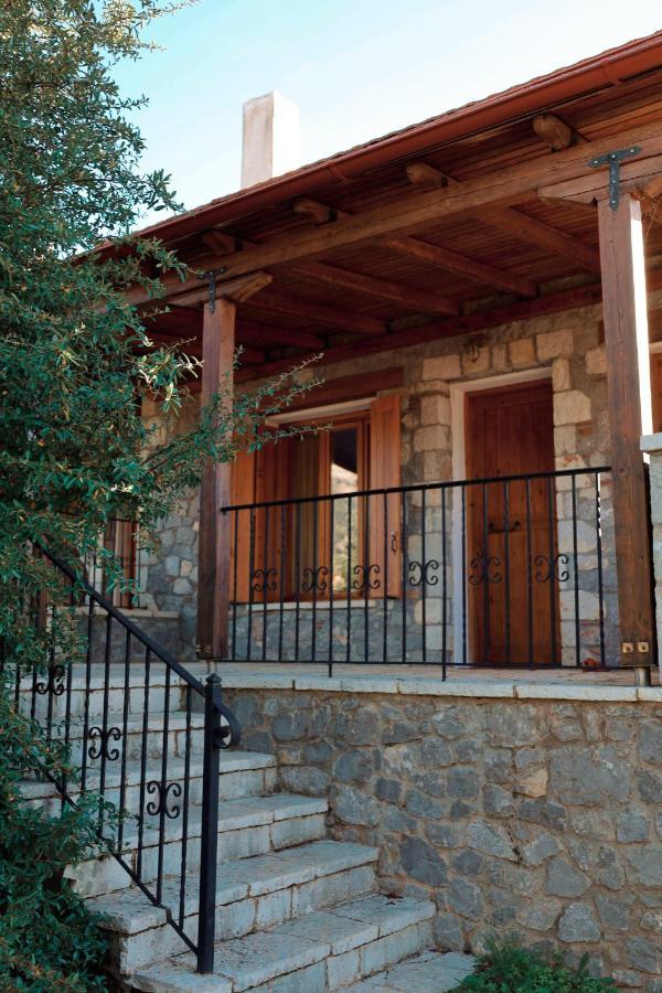Diminio 1 Whole House - Chalet Arachova Dış mekan fotoğraf